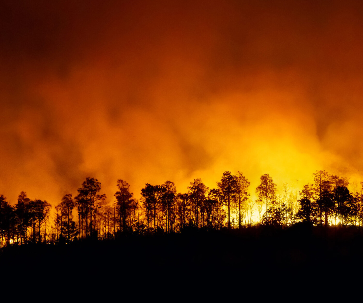 Fires & Explosions, Including Lithium Batteries