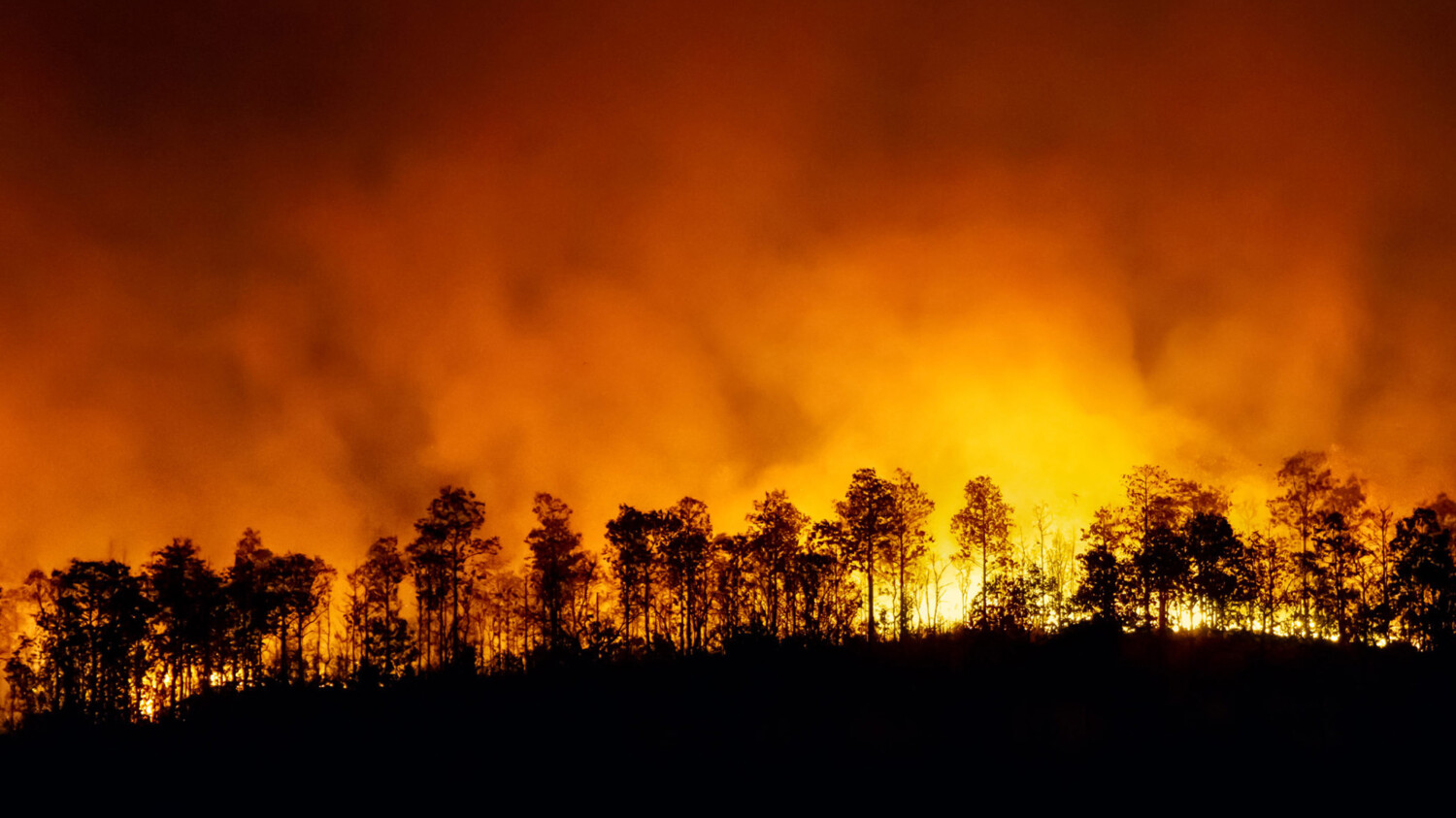 Fires & Explosions, Including Lithium Batteries